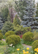 <b>古树名木急需更新细化</b>