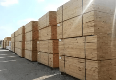 暂停美原木进口谁将正在海潮中受益？